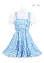 Adult Dorothy Costume Alt 9