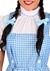 Adult Dorothy Costume Alt 2