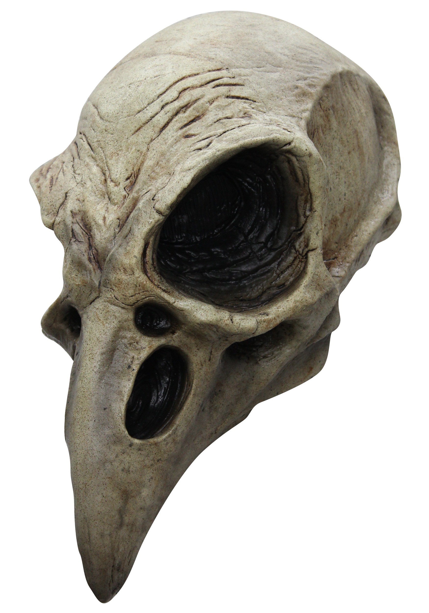 Crow Skull Mask Accessory