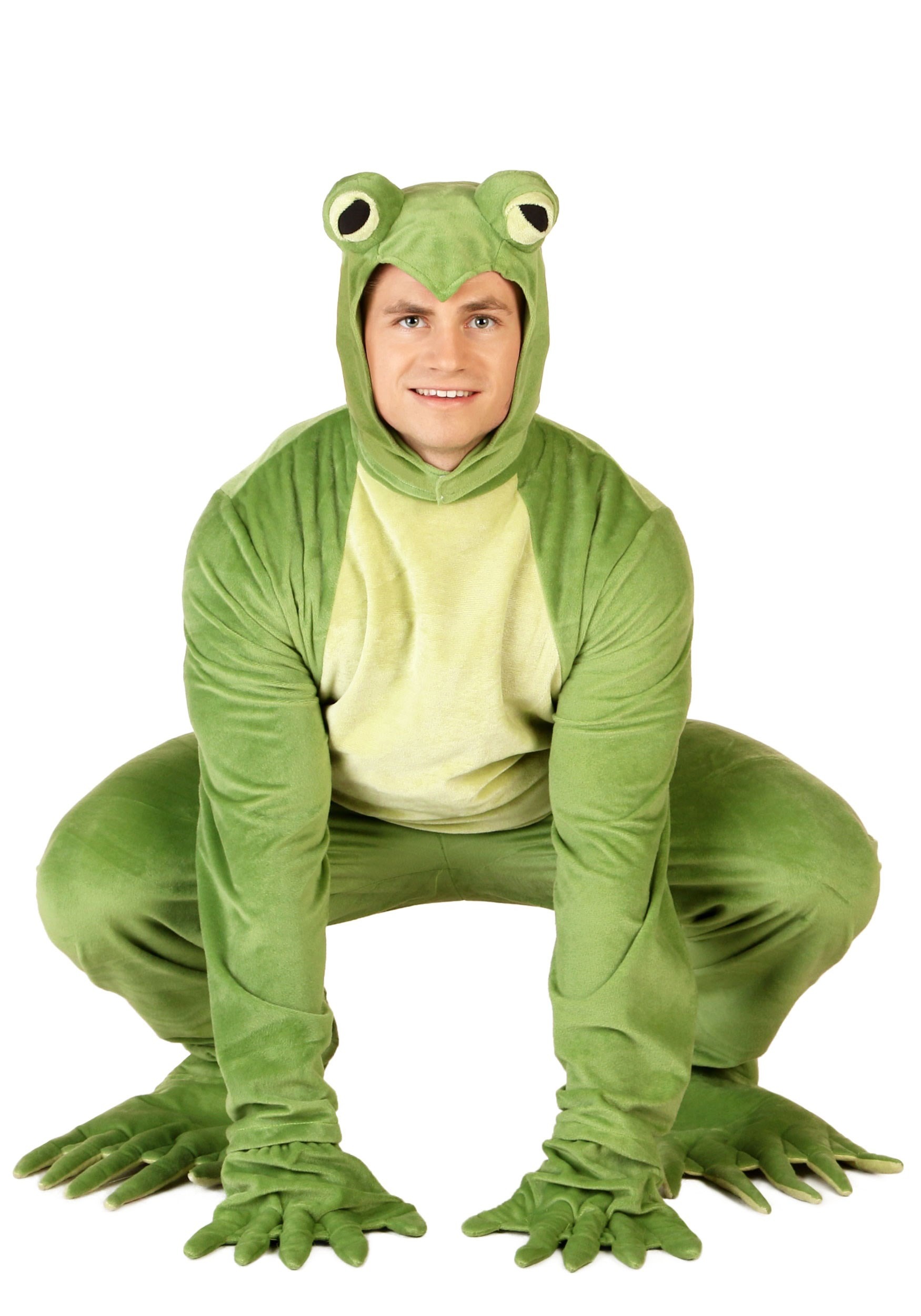 Featured image of post Anime Boy Frog Costume Frog suit and frogsuit learn more