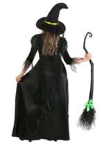 Womens Storybook Witch Costume Alt 1