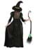 Womens Storybook Witch Costume Alt 1