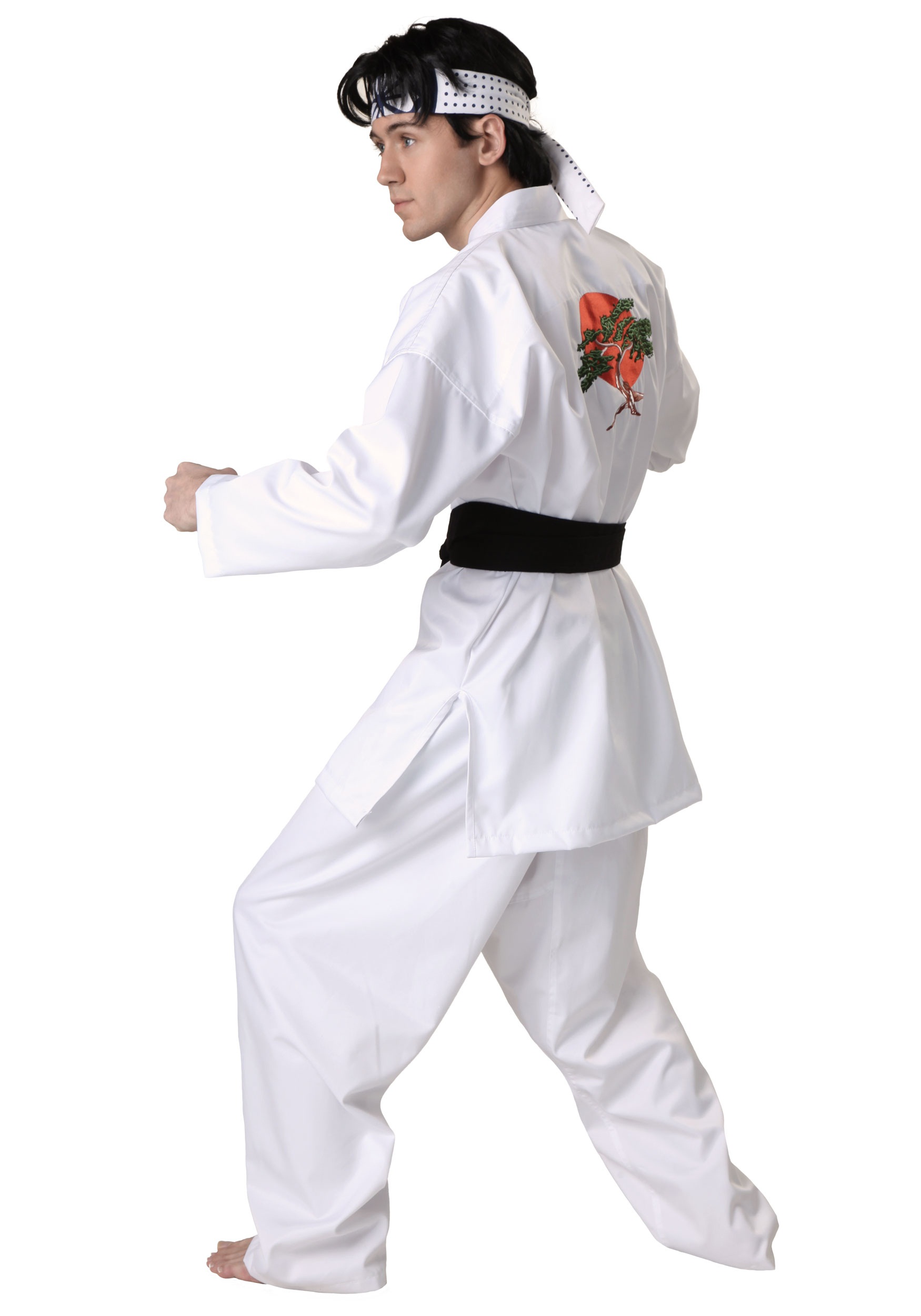 Karate Kid Johnny Wig Standard: Clothing & Accessories,Karate Kid Johnn...