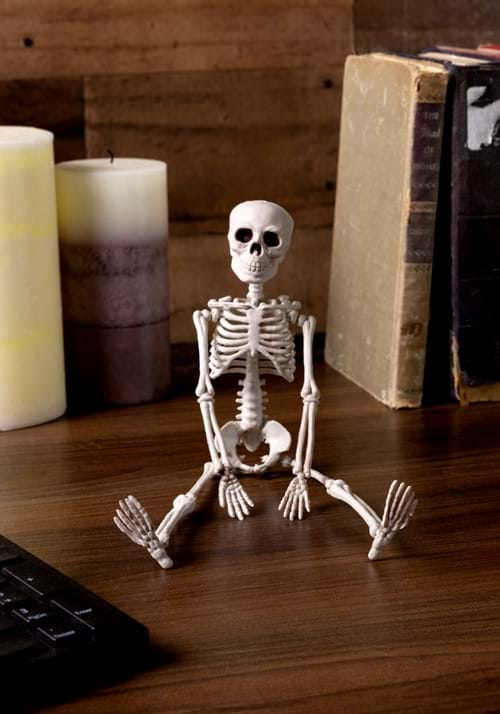 12 Inch Plastic Realistic Skeleton