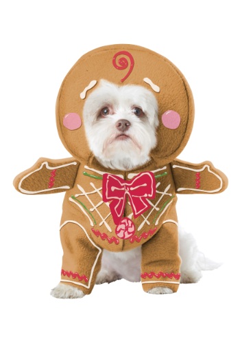 Gingerbread Costume for Dog's