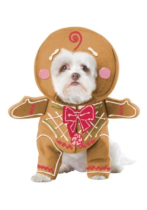 Gingerbread Costume for Dog's