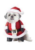 Santa Pup Dog Costume