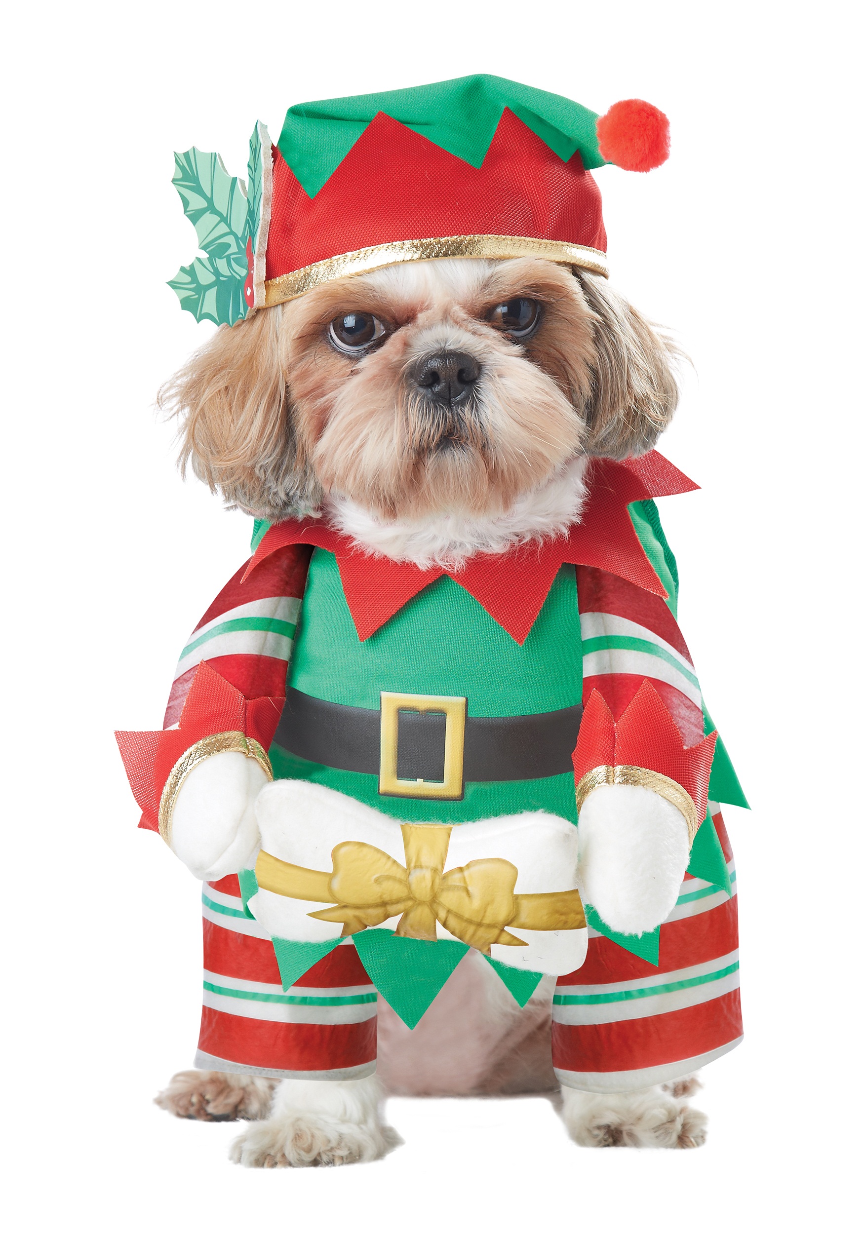 Dog Costume Elf Pup
