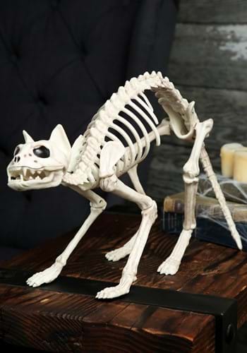 Decoration Halloween Skeleton Cat