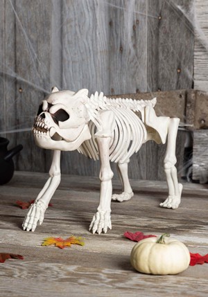 Squelette De Chien En Plastique Pour Halloween - 31 X 44 Cm (environ) - Articulations Posables - Déco Effrayante