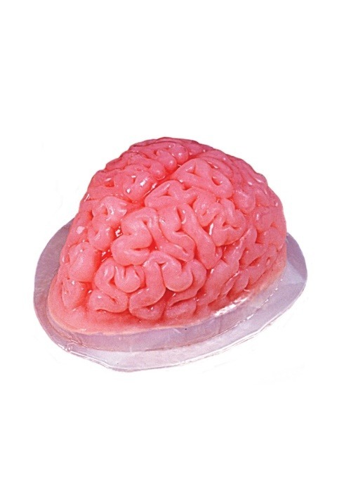 Brain Gelatin Mold Prop