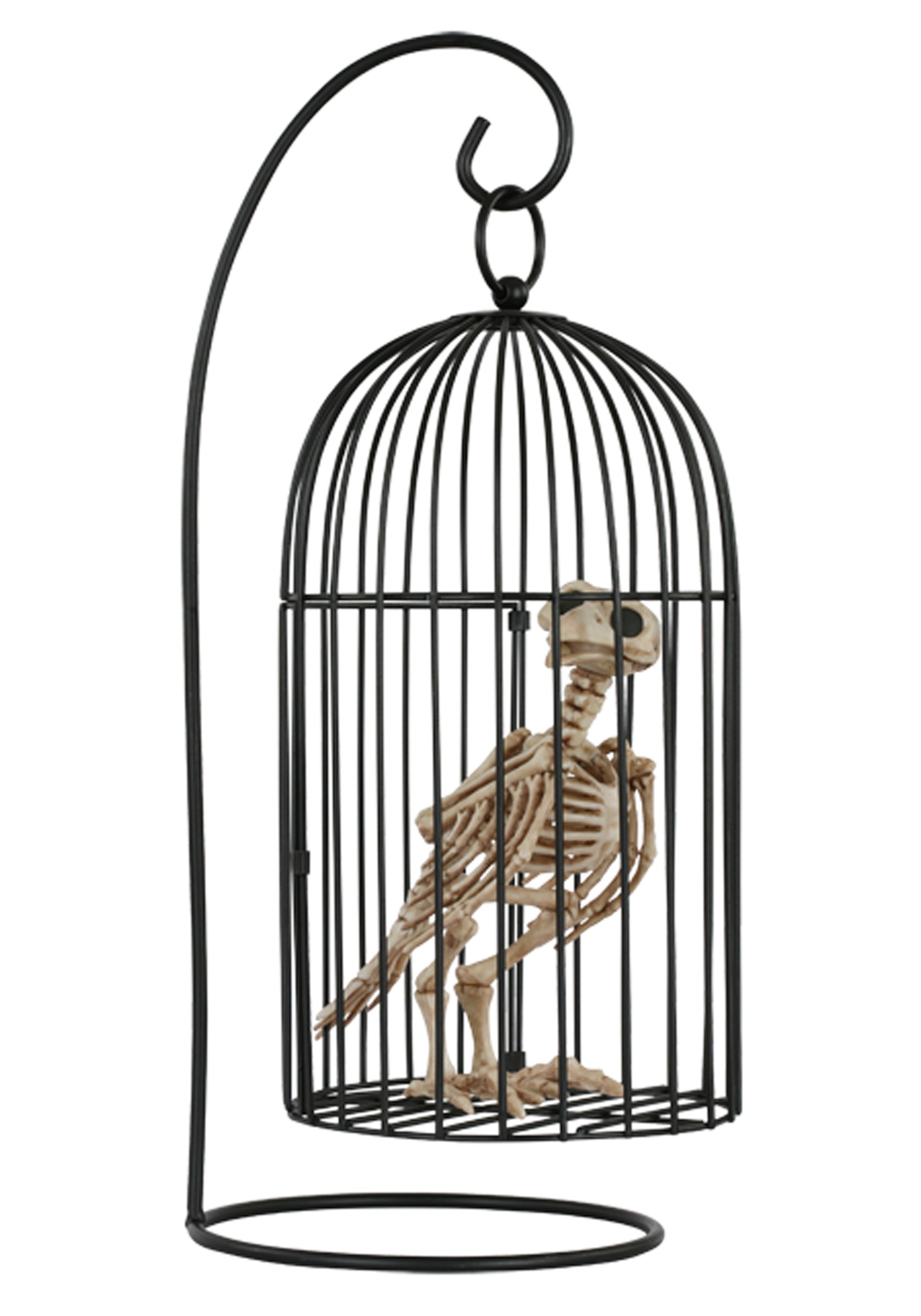 bird in cage