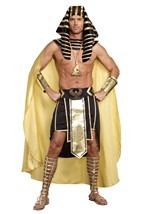 Plus Size King of Egypt Costume Alt 2