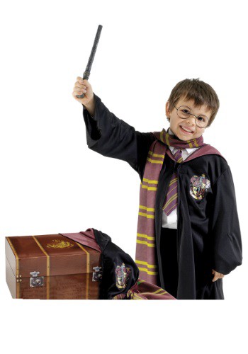 Harry Potter Dress Up Trunk