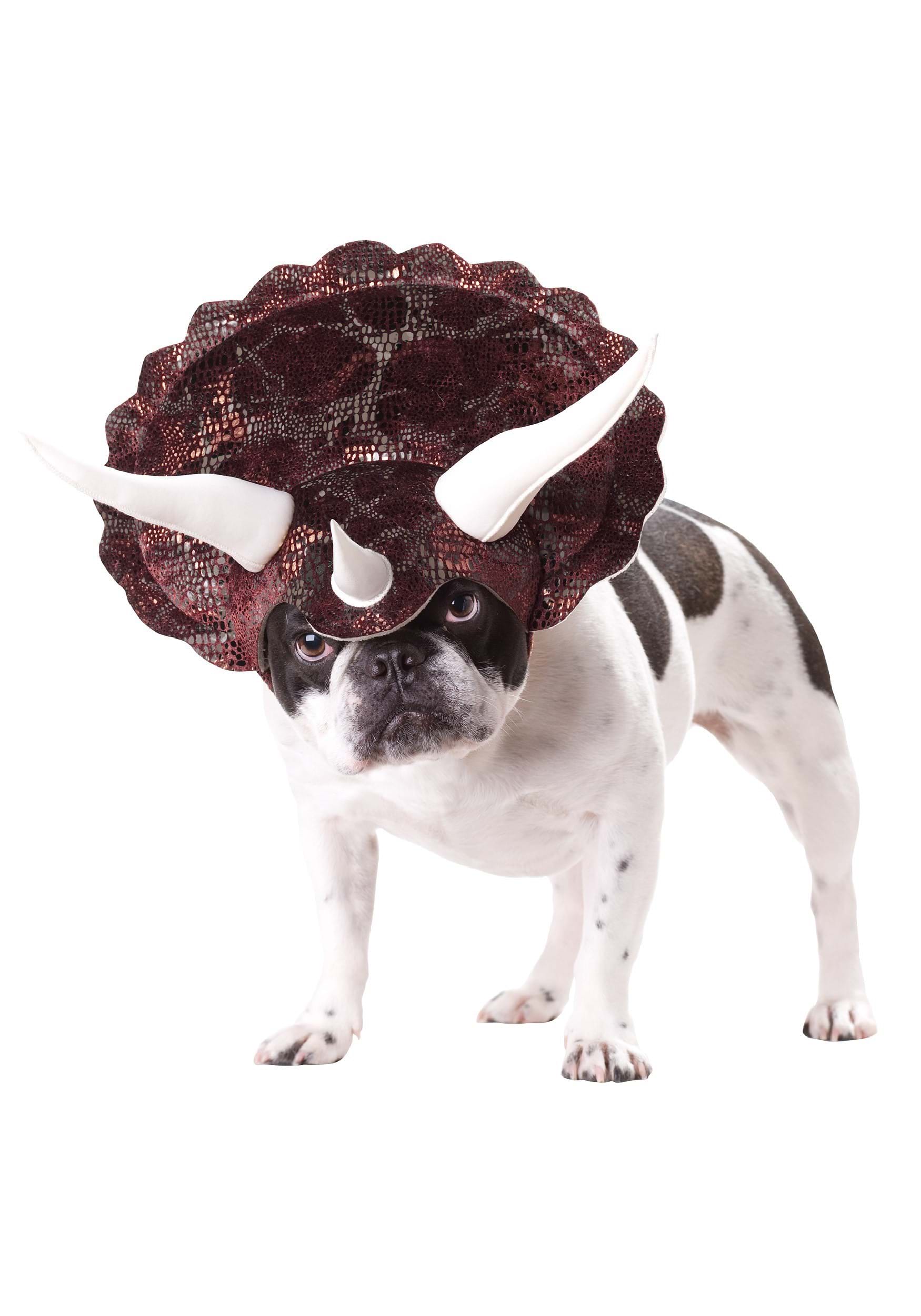 Photos - Fancy Dress California Costume Collection Triceratops Costume for Dogs Brown CAPET2010 