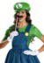 Women's Luigi Skirt Costume