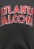 Atlanta Falcons Champion Fleece Juniors Sweatshirt2