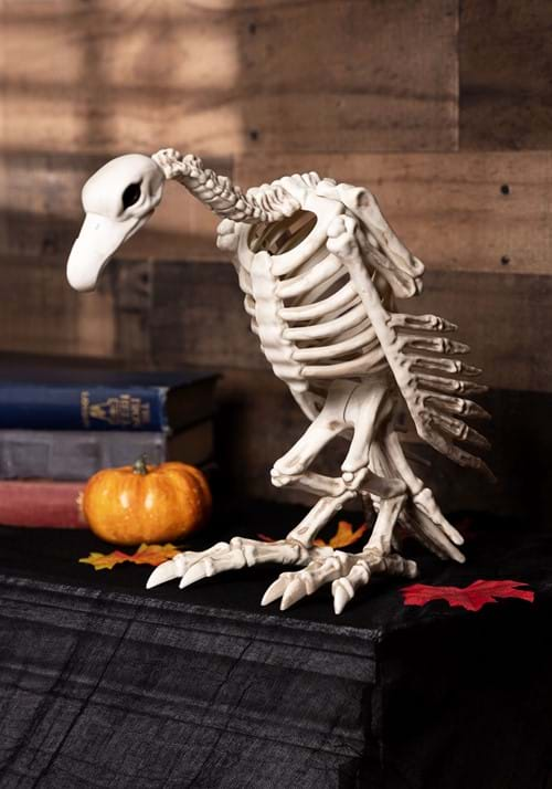 Skeleton Vulture