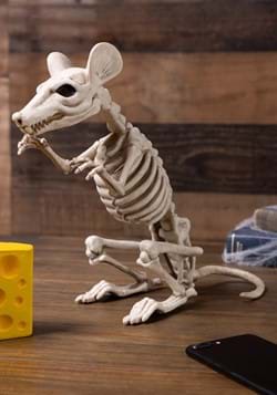 11 Inch Skeleton Rat