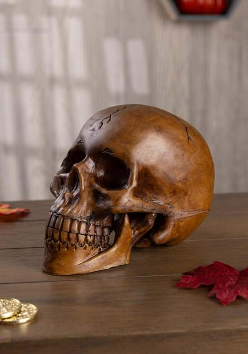 Resin Old Skull Prop