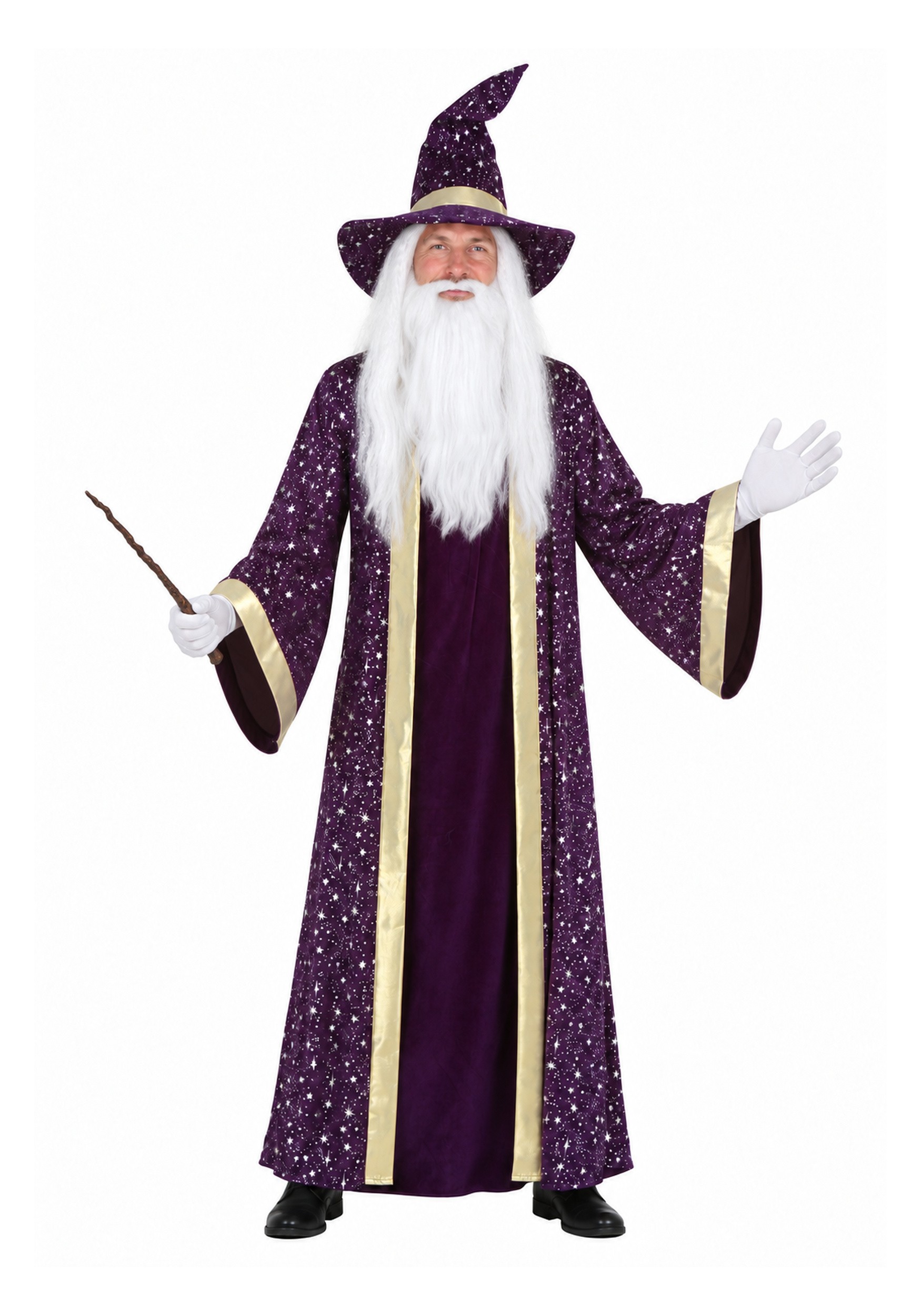 Men's Purple Wizard Costume