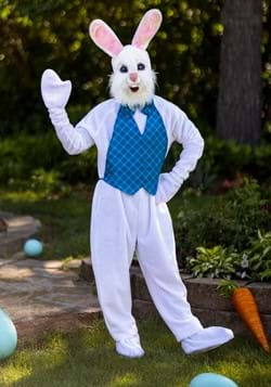 Bunny Costumes for Women, Men, Boys and Girls