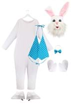 Plus Size Mascot Easter Bunny Adult Costume