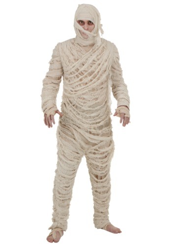 Mummy Men's Costume