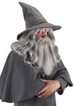  LOTR Grey Gandalf Costume Hat