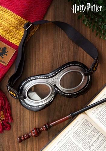 Wizard Quidditch Goggles