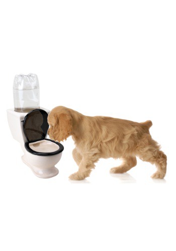The Toilet Pet Water Dish