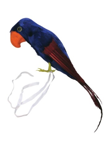 Pirate Parrot Bird Accessory