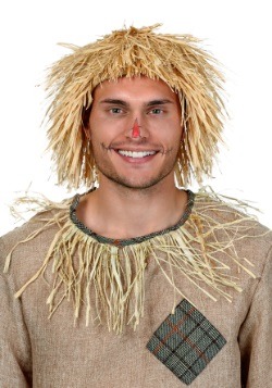 Adult Scarecrow Hay Wig