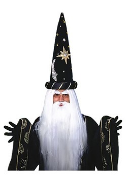 Wizard Wig and Beard Set