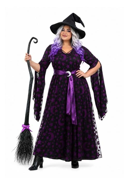 Purple Moon Witch Womens Plus Size Costume New Main
