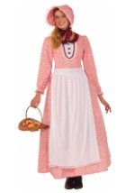 Pioneer Woman Adult Costume