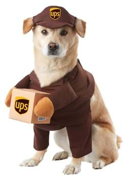 Dog UPS Costume