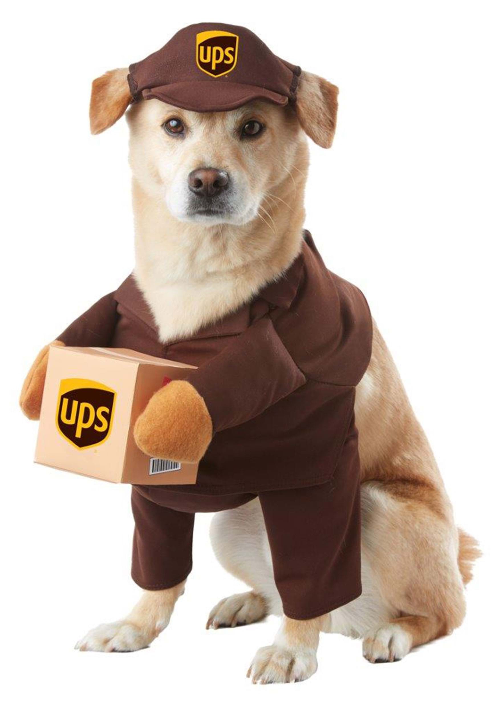 Photos - Fancy Dress California Costume Collection UPS Puppy Dog Costume Brown CAPET20151 