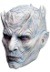 Game of Thrones Night King Adult Mask