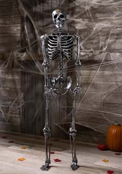 Life Size Silver Dark Grey Skeleton Decoration