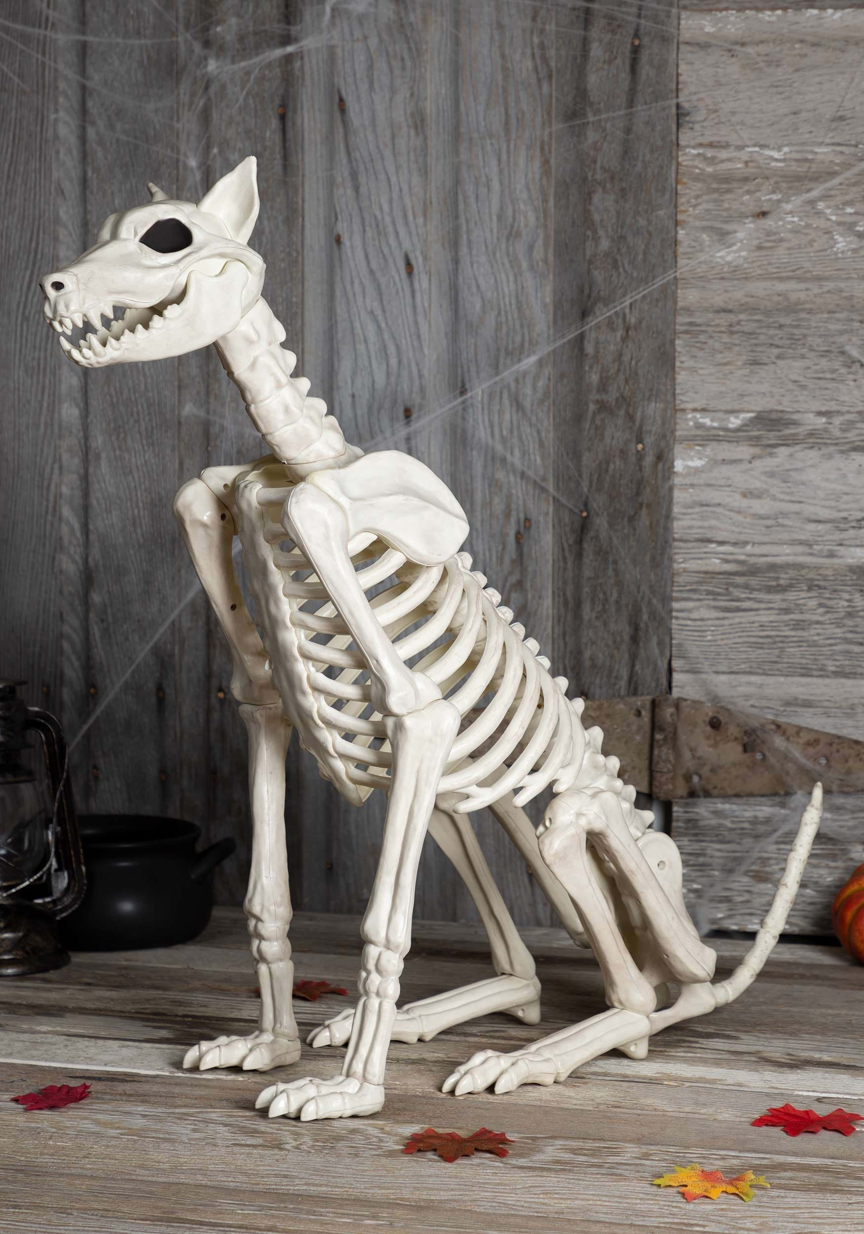 Skeleton Spike the Dog