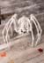 Skeleton Spider 42 Inch Halloween Decoration Alt 2