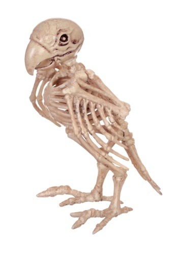 Skeleton Parrot Decoration