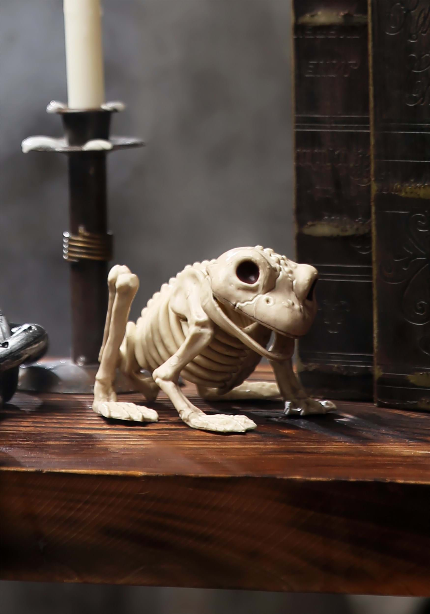 Halloween Skeleton Frog Decoration