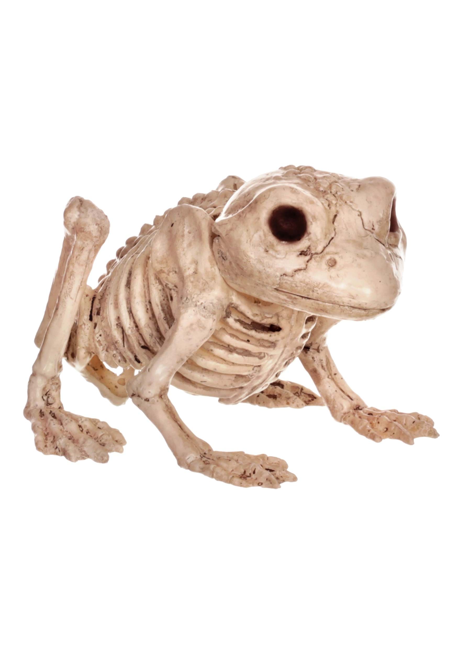 Halloween Skeleton Frog Decoration