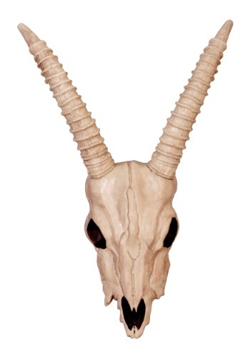 Halloween Gazelle Skull Decoration