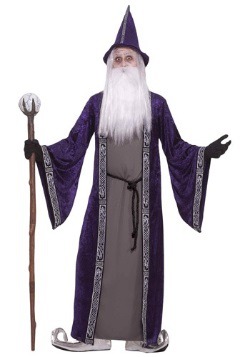 Mens Wizened Wizard Costume
