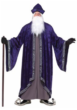 Plus Size Royal Wizard Costume for Men