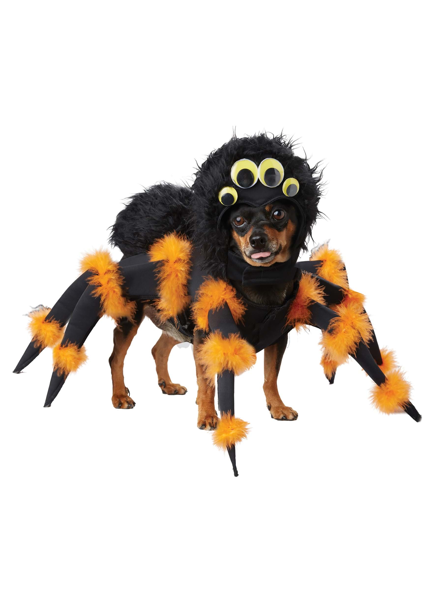 Photos - Fancy Dress California Costume Collection Puppy Spider Costume Black/Orange CAPET2 