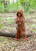 Deluxe Chewbacca Boys Costume